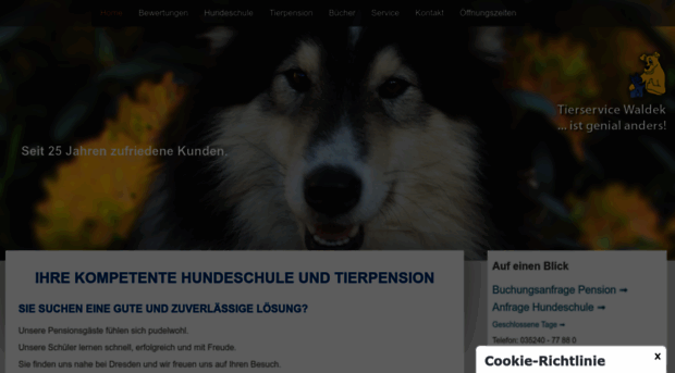 hundeschule-tierpension.jimdo.com