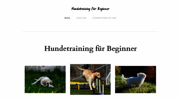 hundetraining-fuer-beginner.weebly.com