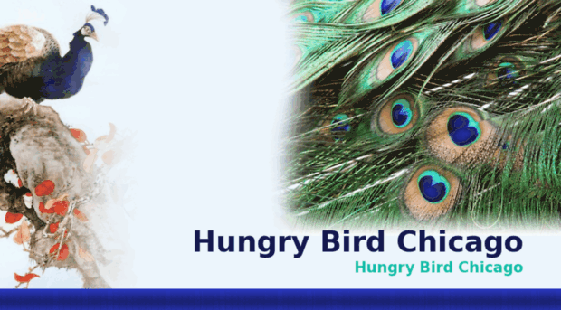 hungrybirdchicago.com