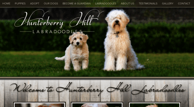 hunterberryhilllabradoodles.com