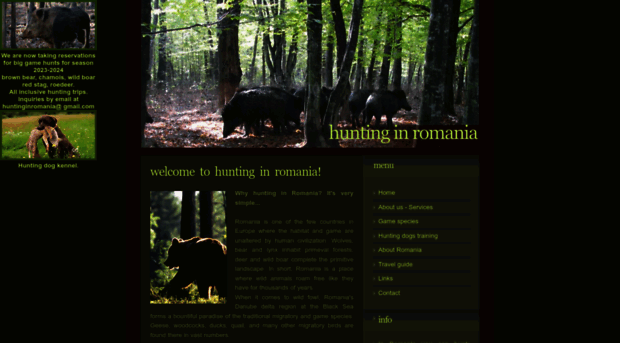 hunting-in-romania.com