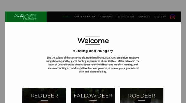 huntingandhungary.com