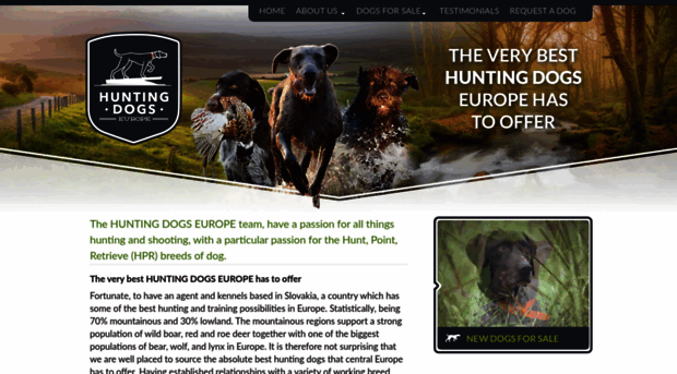 huntingdogseurope.com