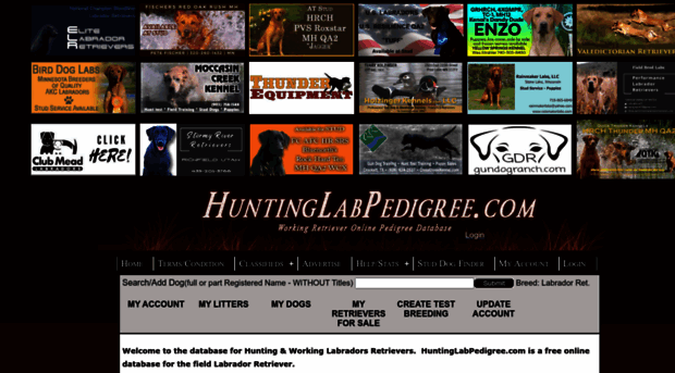 huntinglabpedigree.com