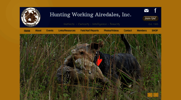 huntingworkingairedales.com