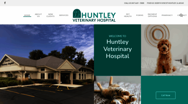 huntleyvet.com