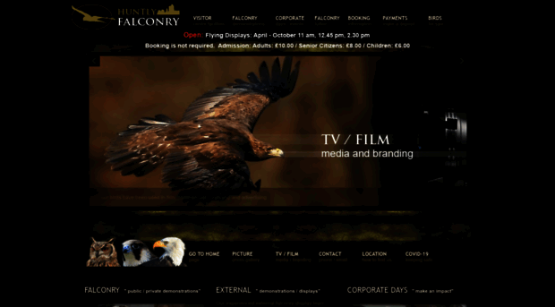huntly-falconry-centre.com