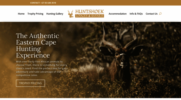 huntshoeksafaris.com