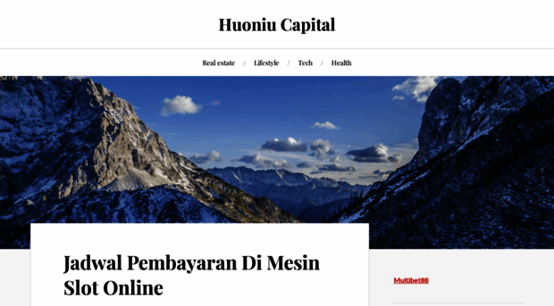 huoniucapital.com