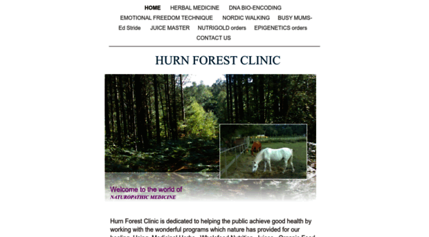 hurn-forest-clinic.co.uk