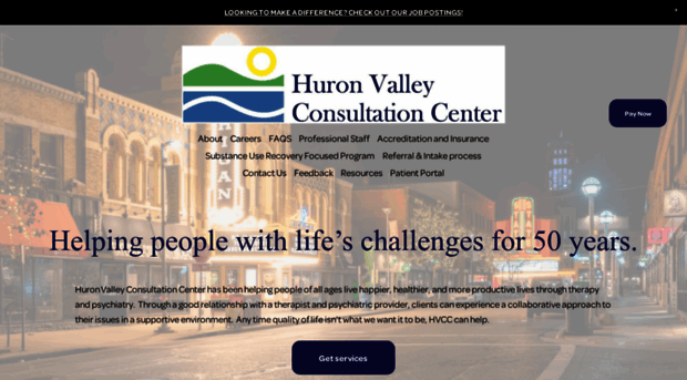 huronvalleyconsult.org