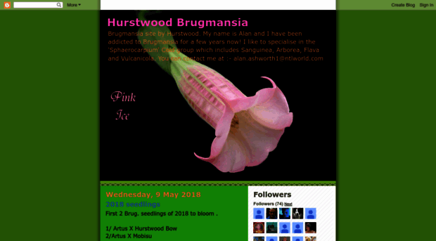 hurstwoodbrugmansia.blogspot.dk