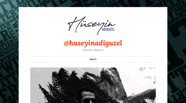 huseyinadiguzel.wordpress.com