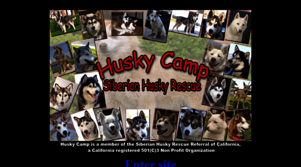 huskycamp.com