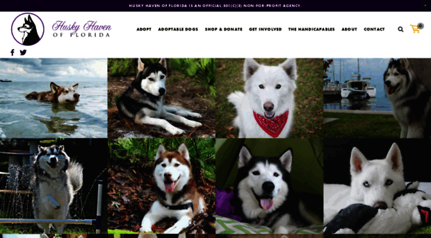 huskyhavenfl.org