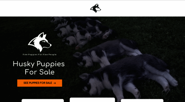 huskypuppies-forsale.com