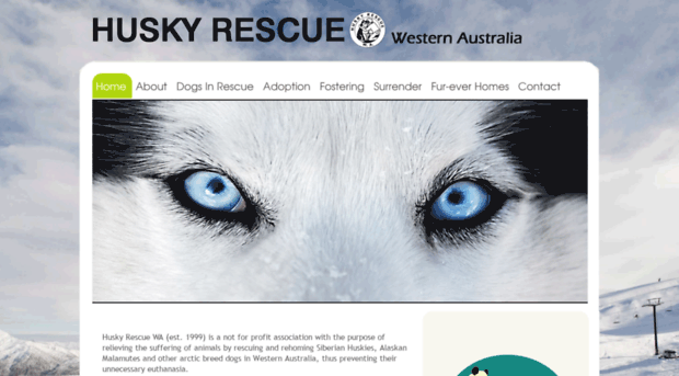 huskyrescue.com.au