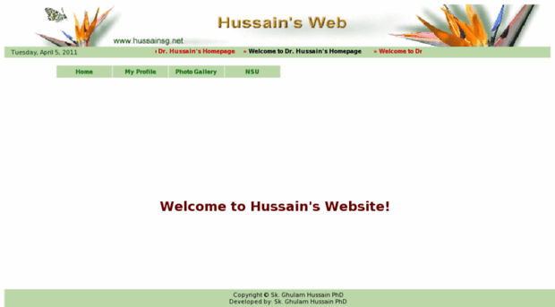 hussainsg.net