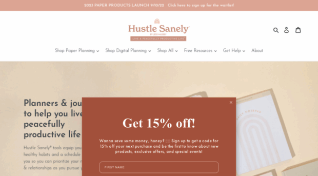 hustlesanely.com