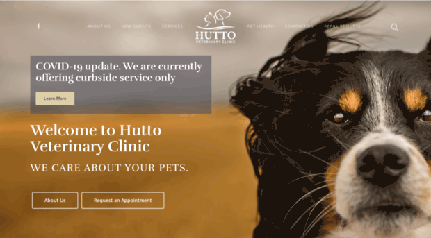 huttovetclinic.com