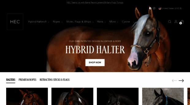 hybridhalter.com