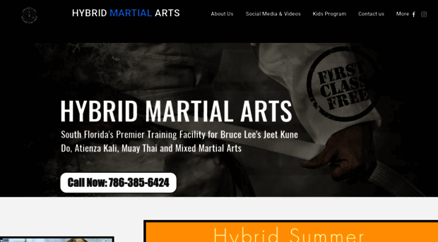 hybridmartialart.com