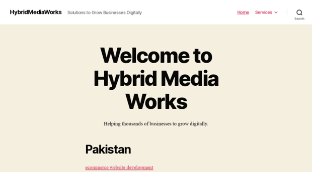 hybridmediaworks.net