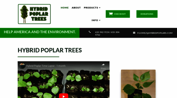 hybridpoplars.com