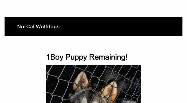 hybridwolfpup.com