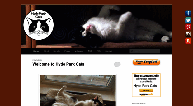 hydeparkcats.org