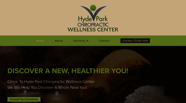 hydeparkchiropractic.com