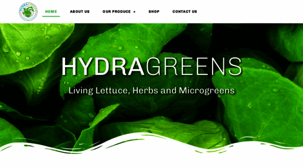 hydragreens.ca