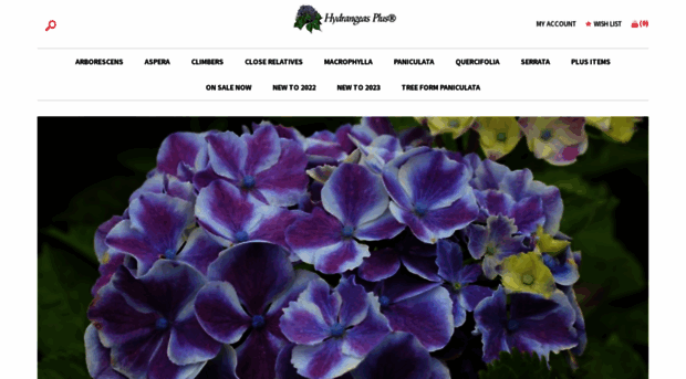 hydrangeasplus.com