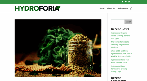 hydroforia.com