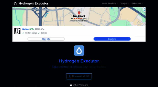 hydrogenexecutor.app