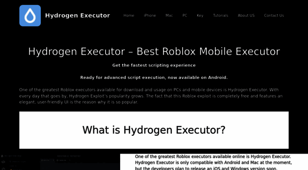 hydrogenexecutor.us.com