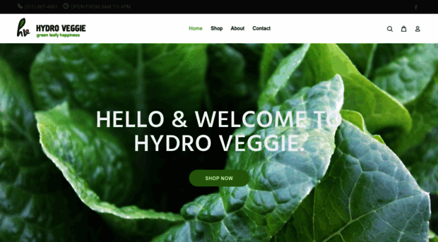 hydroveggie.co.za