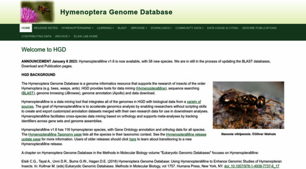 hymenopteragenome.org