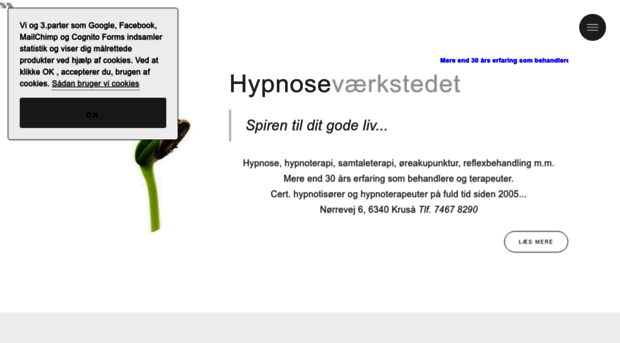 hypnosevaerkstedet.dk