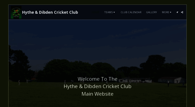 hythe-dibdencricketclub.co.uk