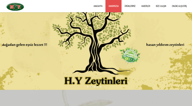 hyzeytinleri.com