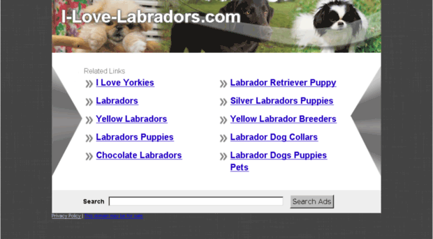 i-love-labradors.com