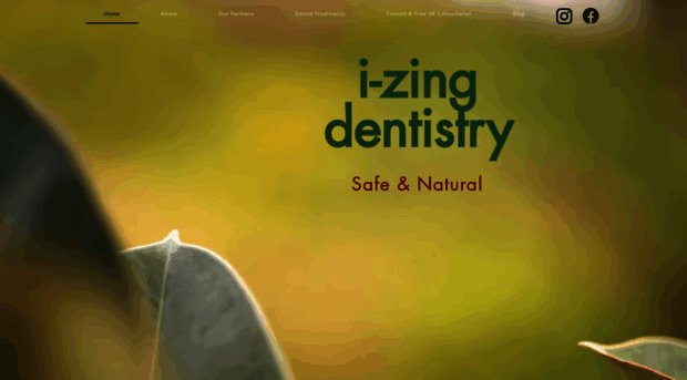 i-zingbiodental.com