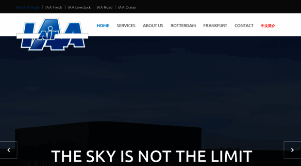 iaa-airfreight.com