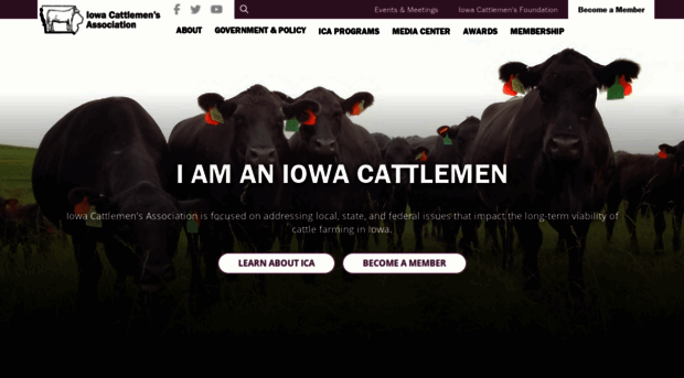 iacattlemen.org