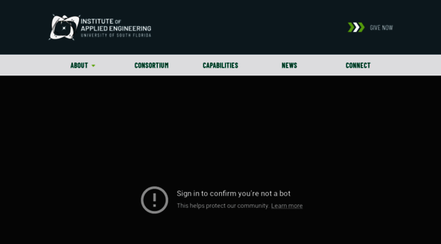 iae.eng.usf.edu
