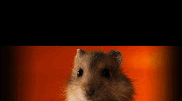 iamnotahamster.net