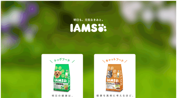 iams.jp