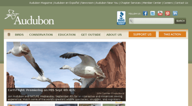 iba.audubon.org