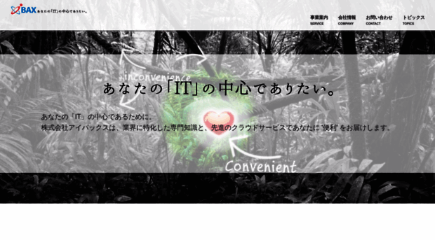 ibax.jp